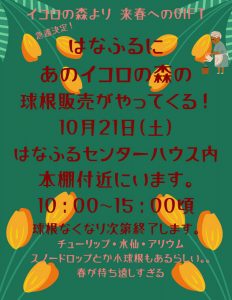 球根販売のお知らせ