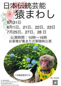 日本伝統芸能【猿まわし】