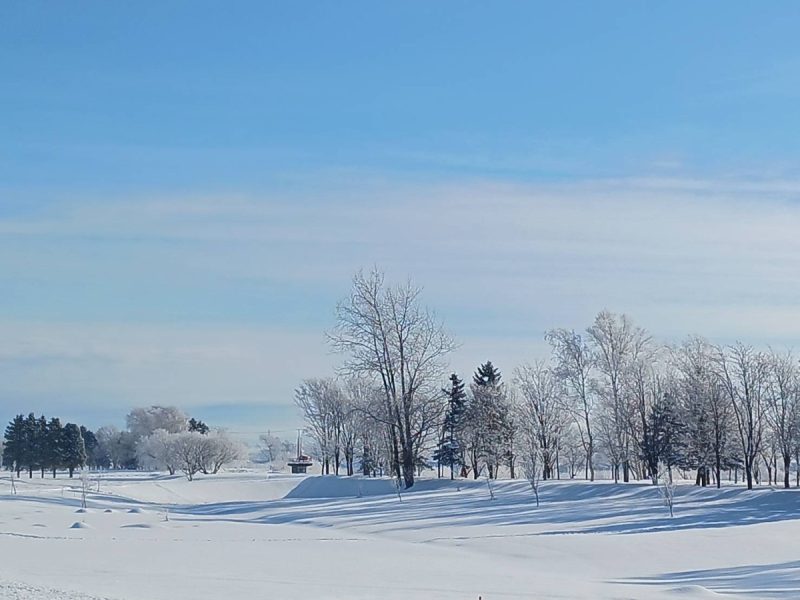 ガーデンエリアの木々に樹氷ができました！【2月3日（火）早朝】
