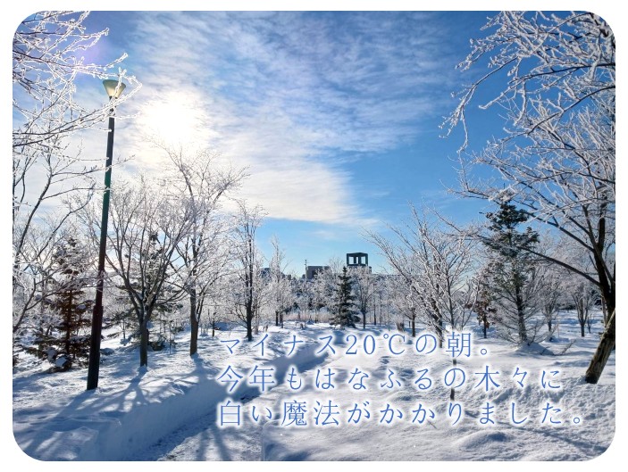 ガーデンエリアの木々に樹氷ができました！【2月3日（火）早朝】