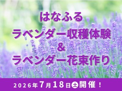 ラベンダー収穫体験＆花束作り【7月18日開催！】